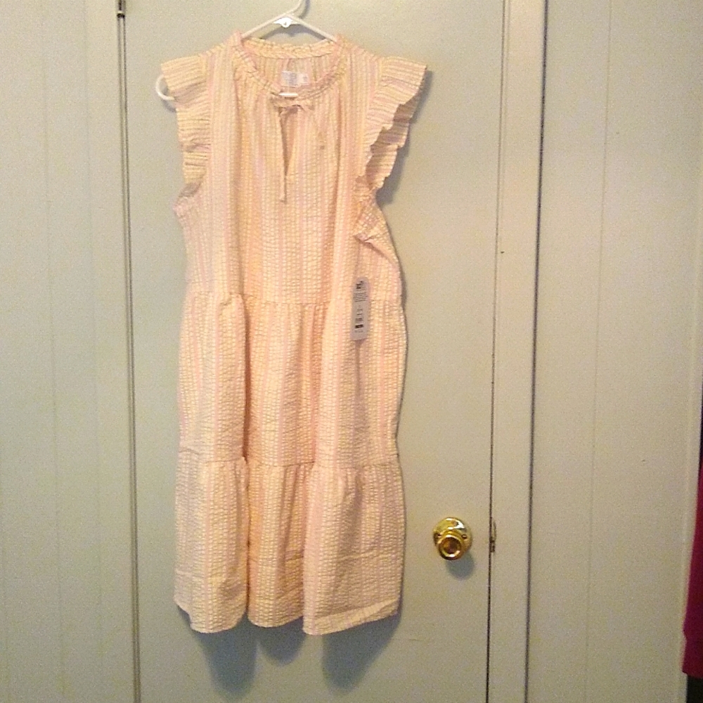 NWT Time and Tru Flutter sleeve woven dress
